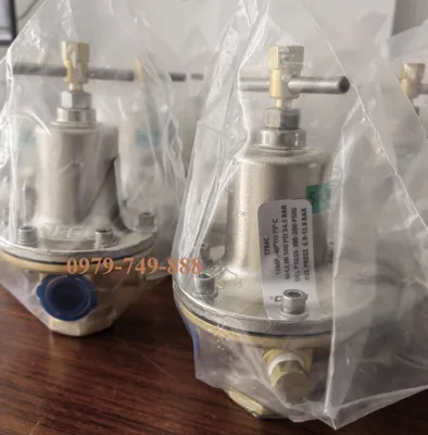 Van điều áp Rego BR-1784A - 1/2 NPT